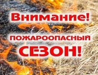 Действует ли особый противопожарный режим в Санкт- Петербурге в 2025 году